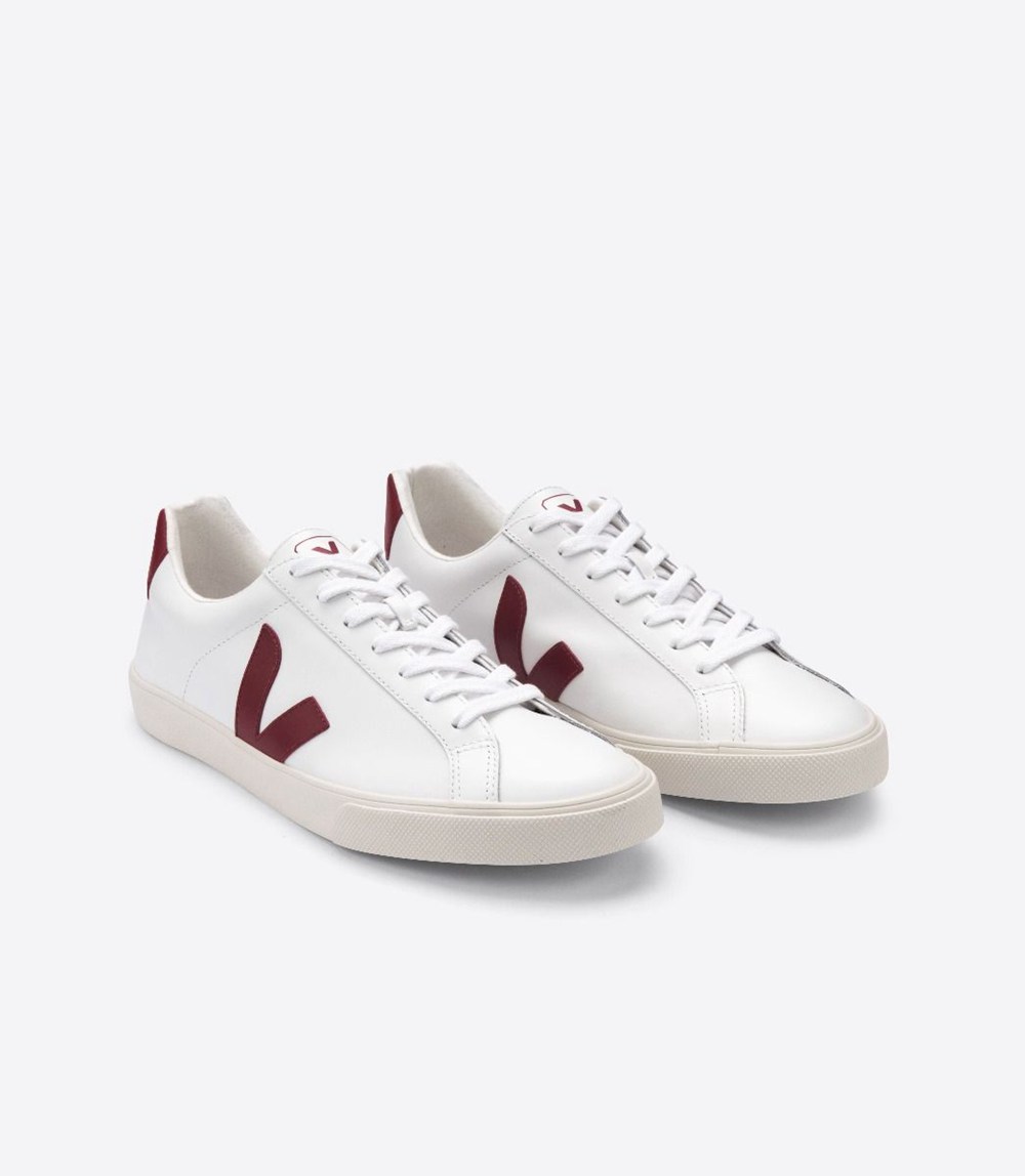 Veja Sneakers Mens - Esplar Leather - White - 5087PWUTM